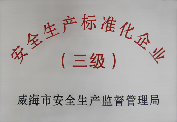 安全生產(chǎn)標(biāo)準(zhǔn)化企業(yè)