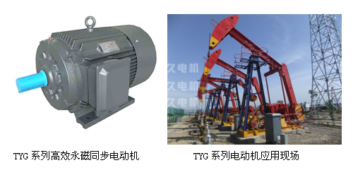 TYG高效永磁同步電機